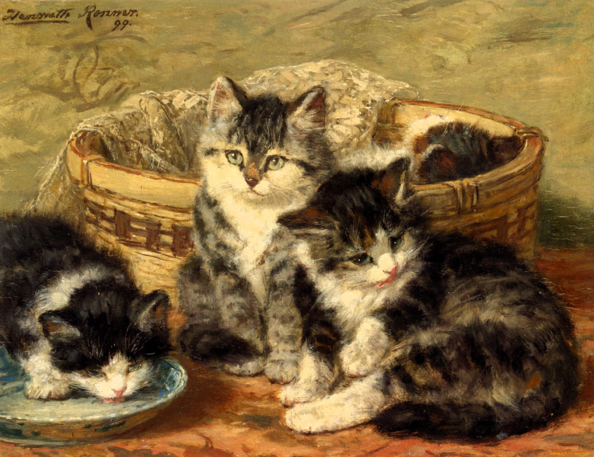 , henriette ronner-knip, , , 